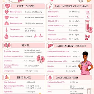 May include: A pink-themed Lab Value Cheat Sheet featuring medical illustrations and text. Sections include Vital Signs, Basal Metabolic Panel, Renal, Liver Function Tests, Lipid Panel, and Coagulation Studies, with nursing notes at the bottom.