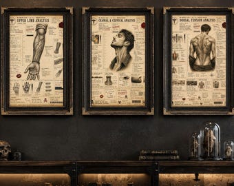 Dark Romance Art Print Set, Anatomy Files Bundle, Booktok Aesthetic Wall Art, Shadow Daddy, MMC-print, digitale download,