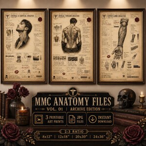Dark Romance Art Print Set, Anatomy Files Bundle, Booktok Aesthetic Wall Art, Shadow Daddy, MMC Print, Digital Download,