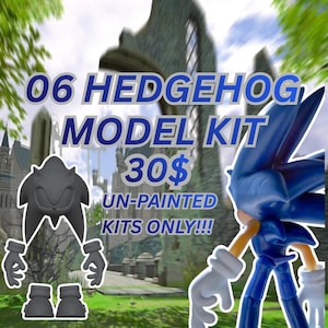 May include: A blue and white Sonic the Hedgehog model kit with the text "06 HEDGEHOG MODEL KIT" and "UN-PAINTED KITS ONLY!!!" against a blurred background of a castle and green grass. A gray unpainted model is also shown.