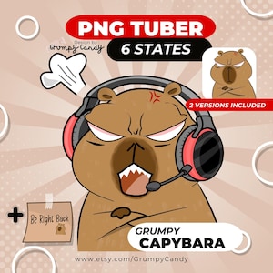 Grumpy Capybara PNGTuber, djur Gamer, rolig PNG-knöl, 6 stater, färdig Veadotube-modell