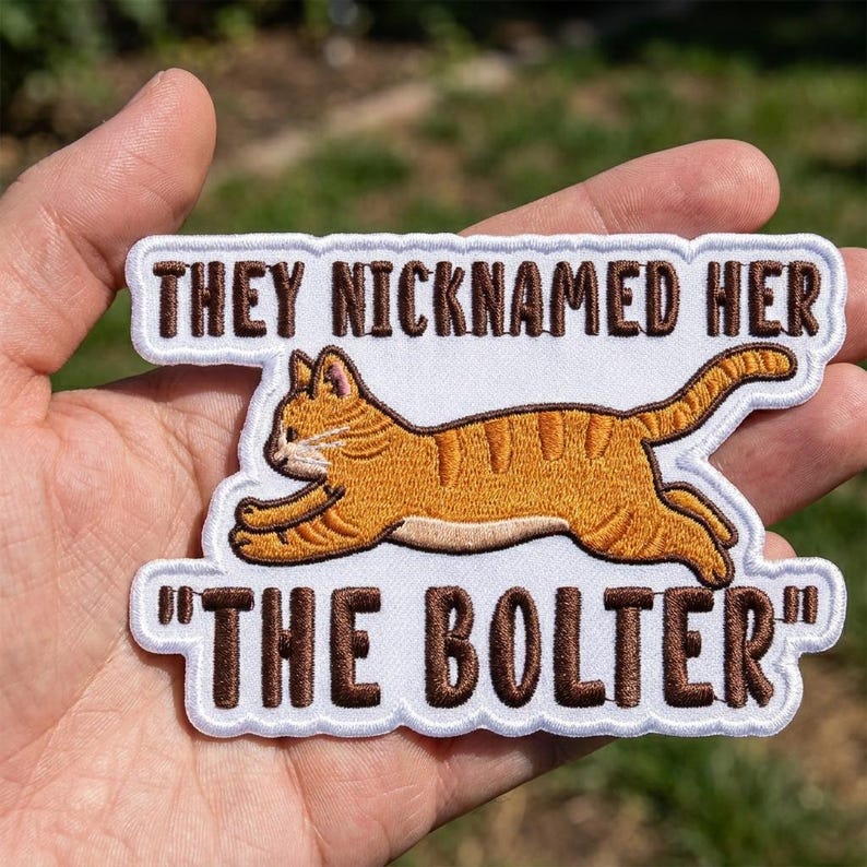 They Nicknamed Her The Bolter Embroidered Patch, Funny Orange Cat Patches for Denim Jacket Backpack, Cute Swiftie Pop Culture Fan Iron On image 3
