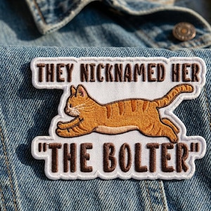 They Nicknamed Her The Bolter Embroidered Patch, Funny Orange Cat Patches for Denim Jacket Backpack, Cute Swiftie Pop Culture Fan Iron On image 1