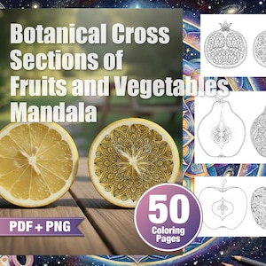 Könnte beinhalten: Digitaler Download mit einem botanischen Querschnitts-Mandala von Früchten und Gemüse. Das Bild zeigt eine Zitronenscheibe und ein detailliertes Mandala-Design. Enthält 50 Ausmalbilder im PDF- und PNG-Format.