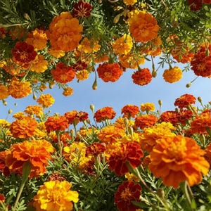 May include: A set of three ceramic mugs with a speckled, matte finish. The mugs are in shades of cream, light gray, and dark gray. Each mug has a simple, minimalist design and a rounded handle.