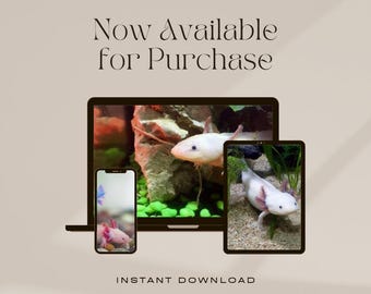 High resolution colourful Axolotl themed desktop, mobile or tablet wallpaper. Digital download. JPG