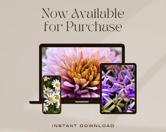 High resolution colourful flower themed desktop, mobile or tablet wallpaper. Digital download. JPG.