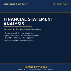 Schema riassuntivo per l'analisi del bilancio / Analisi dei rapporti orizzontali e verticali / Guida allo studio di contabilità / Download immediato