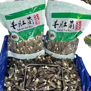 May include: Two bags of dried morel mushrooms, labeled "Morchella" in English and Chinese characters, sit in a blue bin. A metal tray filled with morels is in front of the bags. The mushrooms are a mix of tan and brown.