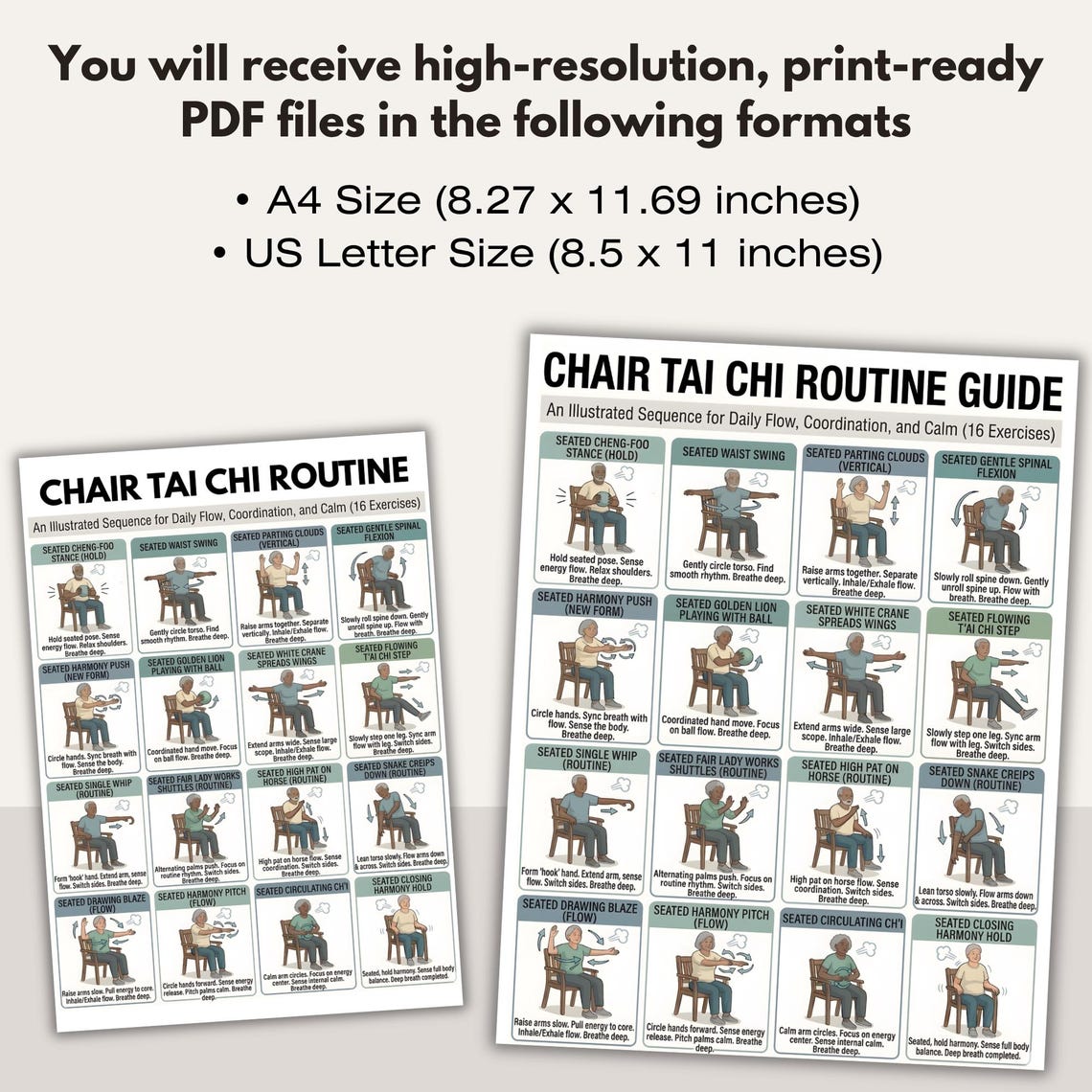 Printable Tai Chi Chair Workout Routine Exercise Chart Plan Pdf 