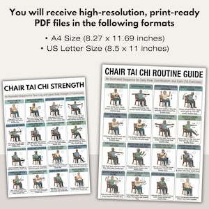Chair Tai Chi Workout Bundle | Seated Exercise Chart PDF | Senior Fitness Flow, Balance & Strength | Chair Yoga Style | Digital Download image 5