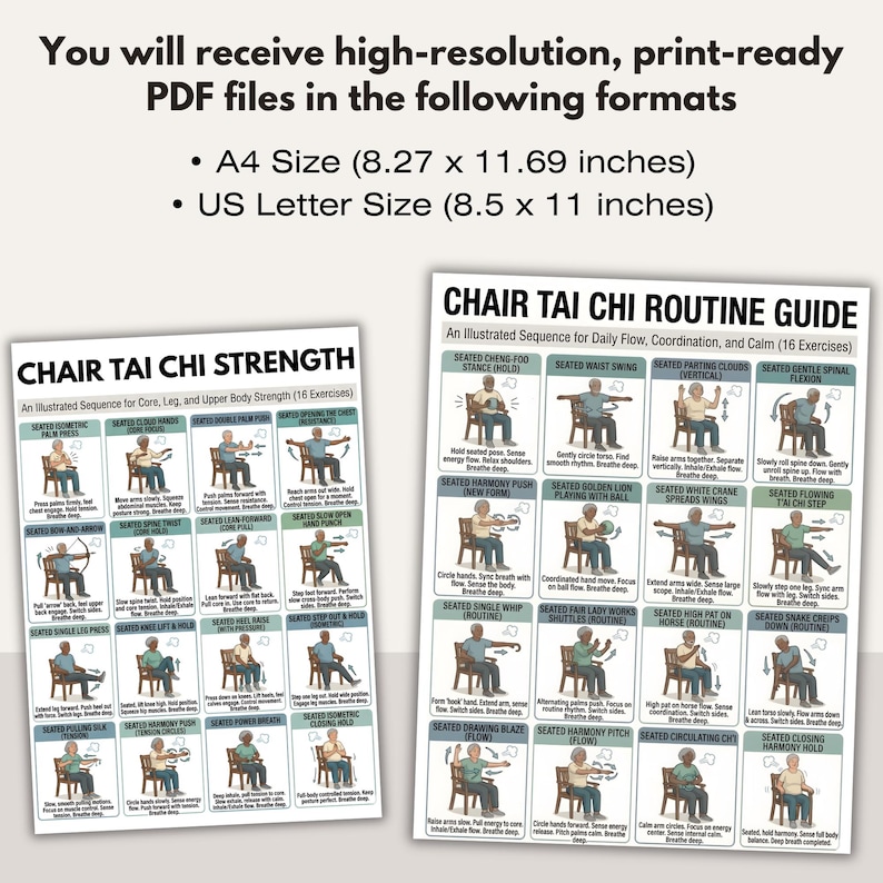 Chair Tai Chi Workout Bundle | Seated Exercise Chart PDF | Senior Fitness Flow, Balance & Strength | Chair Yoga Style | Digital Download image 5