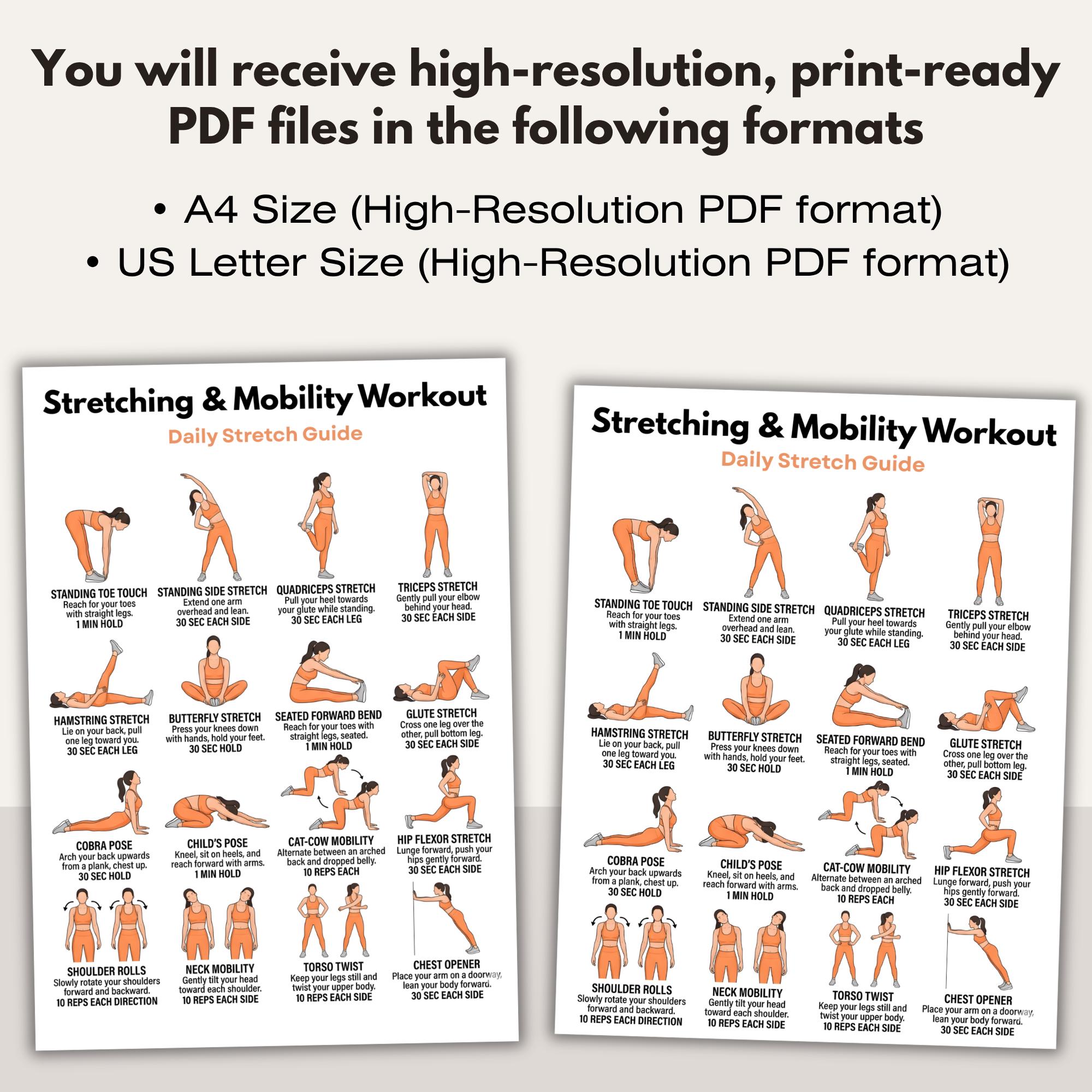 Flyer Stretch Routine Stretching & Mobility Workout Poster, Flexibility Routine Printable ...