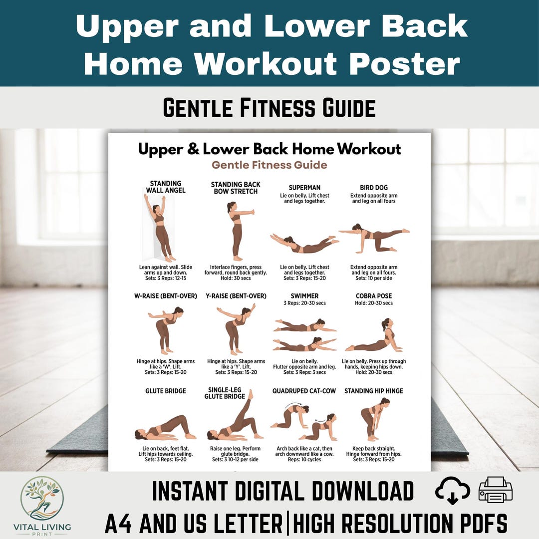 Back Exercise Poster | Upper & Lower Back Home Workout Chart | Gentle ...