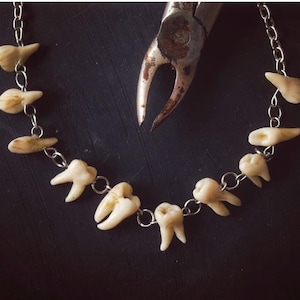 May include: A necklace featuring multiple teeth strung together with a silver chain. The teeth vary in size and shape, with a natural off-white color. A pair of vintage pliers is in the background, suggesting a dental or medical theme.