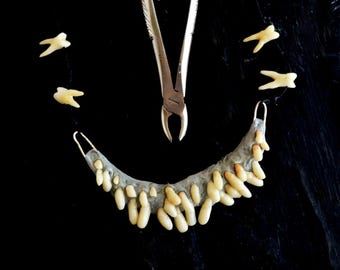 リアルな歯のネックレス – 解剖学的特徴を持つジュエリー、奇妙な歯のチョーカー、身につけられる奇抜なアクセサリー