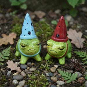 May include: Two ceramic frog figurines with grumpy expressions. One frog wears a blue hat with black dots, the other a red hat. Both have green bodies and are set against a natural outdoor background with leaves and small stones.