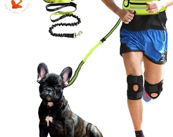 Hands Free Dog Lead Reflective Bungee Dog Lead For Running Dog Leash UK