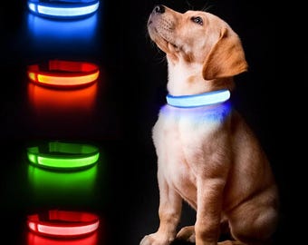 Led Light Dog Collar For Dogs, Light Up Collar for Dogs USB Rechargeable