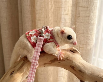 Sugar Glider Harness & Leash Set, Lightweight Vest Outfit, Pocket Pet Walking Jacket, Cute Small Exotic Pet Outdoor Travel (80-150g)
