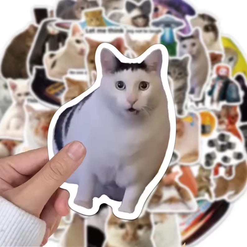 50PCS Kawaii Cat Meme Sticker Set, Waterproof Stickers for Laptop ...