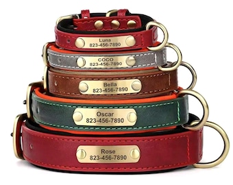 Collar de cuero personalizado para perro – Placa de identificación grabada a medida