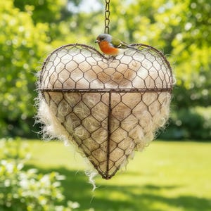 May include: A heart-shaped hanging planter made of wire mesh, filled with light-colored fibers. A small bird with orange, green, and gray feathers perches on top. The planter hangs from a chain against a blurred green background.