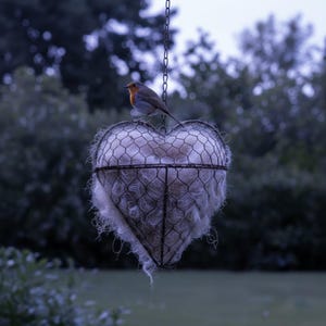 May include: A heart-shaped wire basket filled with fluffy white material, suspended by a chain. A small bird with orange and gray feathers perches on top, set against a blurred green background.