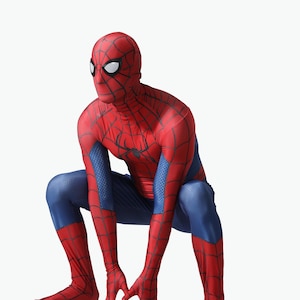 May include: A full-body spandex costume featuring a red and blue color scheme with a black web pattern printed across the red sections. The suit includes a matching full-head mask with white eye lenses and a black spider emblem on the chest.