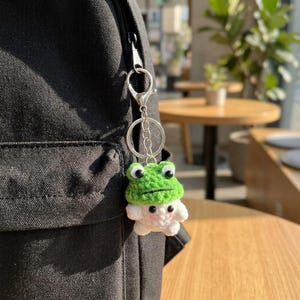 Llavero de nube con forma de rana de ganchillo, colgante para bolso con forma de animal verde y clip de anillo plateado.