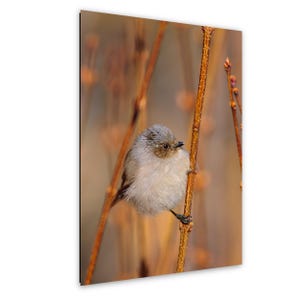 May include: A white ceramic mug with a black handle and the text "But First, Coffee" in a black, handwritten-style font. The mug is on a white surface.