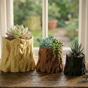 Peut inclure: Trois pots en forme de souche d'arbre, jaune, marron et noir, contenant chacun des plantes succulentes différentes. Les pots sont posés sur une surface en bois devant une fenêtre avec une vue extérieure floue. Les plantes succulentes comprennent une succulente vert clair, une succulente bleu-vert et une plante zébrée.