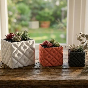 May include: Three square planters with diamond-patterned sides, each filled with succulents. The planters are white, orange, and black, and sit on a wooden surface. The background shows a window and greenery.