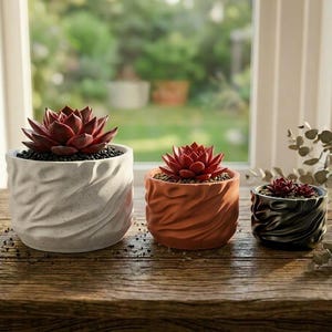 May include: Three decorative succulent plants in textured ceramic pots. The pots are white, orange, and black, each with a unique wave-like design. The succulents have deep red leaves and are set on a wooden surface.