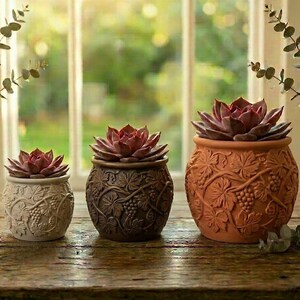 May include: Three decorative terracotta pots with succulents. The pots are in varying sizes and colors, with detailed grape vine designs. The succulents have reddish-purple leaves. The pots are on a wooden surface in front of a window.