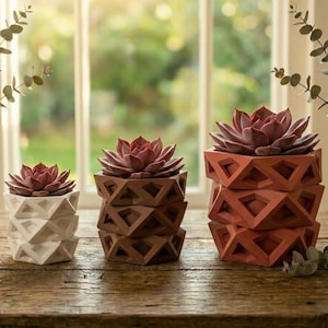 May include: Three geometric planters with faux succulents. The planters are stacked in varying heights and colors: white, brown, and terracotta. The succulents are a deep red color. The planters are on a wooden surface in front of a window.