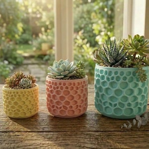 May include: Three ceramic planters in yellow, coral, and teal, each filled with succulents. The planters have a textured, bubble-like pattern. The plants are various shades of green and brown, set against a blurred background of a window and greenery.