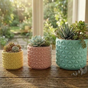 May include: Three colorful ceramic planters with geometric patterns, each filled with succulents. The planters are yellow, pink, and teal, and sit on a wooden surface. The background shows a window with a view of greenery.