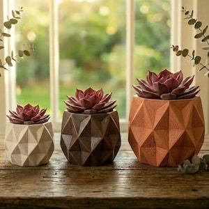 May include: Three geometric planters in varying sizes and colors, each holding a succulent plant. The planters are in shades of beige, brown, and orange. The plants have reddish-purple leaves. The planters are on a wooden surface.