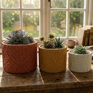 Maceta para suculentas con diseño de nervaduras de hojas impresa en 3D – Maceta de interior con diseño de raíces orgánicas
