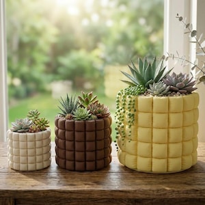 May include: Three decorative succulent planters in varying sizes. The smallest is off-white, the middle is brown, and the largest is yellow. Each planter has a quilted texture and is filled with a variety of succulents. The planters are on a wooden surface.