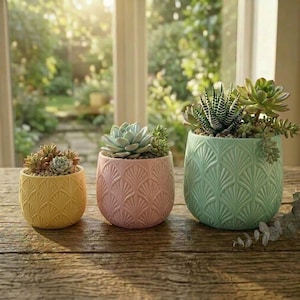 Maceta con forma de abanico Art Déco, maceta para suculentas y cactus con forma de concha festoneada, decoración vintage impresa en 3D.