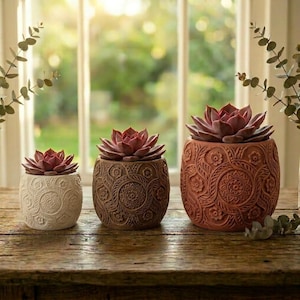 May include: Three decorative succulent plants in ornate, textured pots. The pots are in shades of white, brown, and terracotta. The succulents have reddish-purple leaves. The pots are arranged on a wooden surface in front of a window.