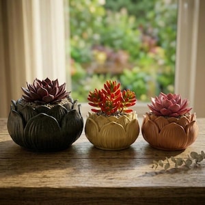 Lotus Flower Succulent Planter – Petal 3D Printed Pot, Botanical Zen Plant Decor
