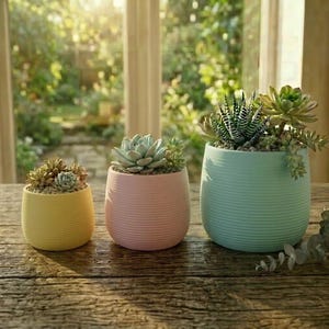 Puede incluir: Tres pequeñas macetas de cerámica coloridas con suculentas sobre una mesa de madera. Las macetas son amarillas, rosas y celeste, cada una con una textura acanalada. Las plantas tienen hojas verdes y verde grisáceo.