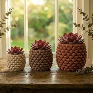May include: Three succulent plants in pineapple-shaped pots of varying sizes. The pots are textured and in shades of beige, brown, and reddish-brown. The succulents have reddish-purple leaves. The plants are on a wooden surface.