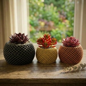 Waffle Weave Succulent Planter – Lattice Textured 3D Printed Pot, Modern Plant Decor