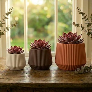 3D Printed Angular Fluted Planter, Geometric Ribbed Succulent Cactus Planter, Modern Architectural Home Decor