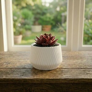 May include: A small, white, textured ceramic pot with a burgundy succulent plant. The pot sits on a wooden surface in front of a window with a blurred outdoor view. The succulent has dark red leaves and is surrounded by small black pebbles.