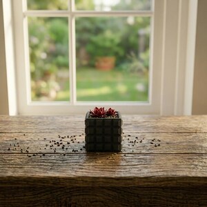 May include: A small, square, dark gray planter with a geometric pattern, holding two red succulents. The planter sits on a weathered wooden surface, with a bright window and greenery in the background.